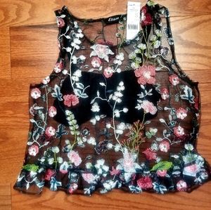 Embroidered Lace Sheer Crop Top